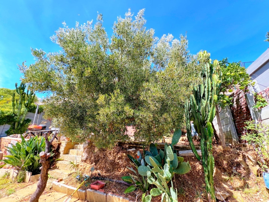 To Let 1 Bedroom Property for Rent in Green Point Western Cape